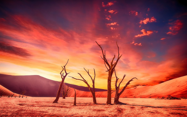 科學家們對於2022年的危機預言，以及2021年，世界經歷了哪些災難