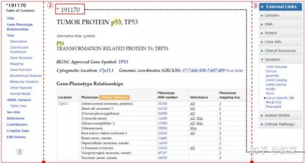 全面且權威的人類基因與遺傳表型概要的線上資料庫——OMIM資料庫
