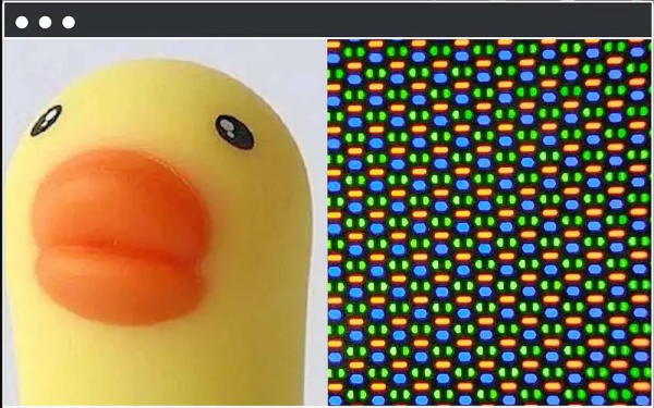 為什麼我們不喜歡「周冬雨」排列？