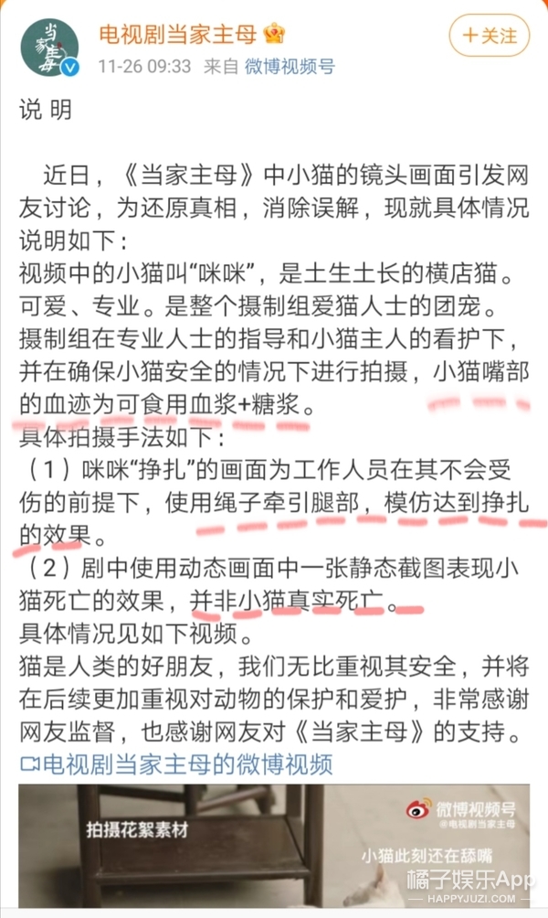 於正劇組淹死鸚鵡毒死貓,《當家主母》P影片回應?炒作無下限? 於正劇組淹死鸚鵡毒死貓,《當家主母》P影片回應?炒作無下限?