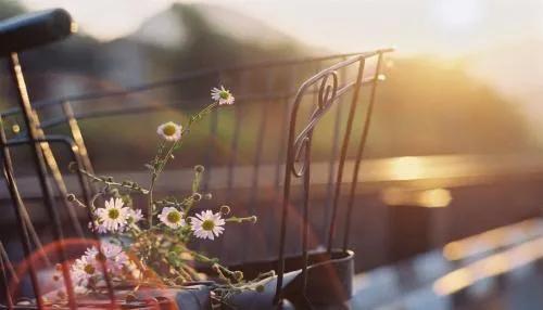 親人離去,應該逐漸淡忘還是常掛念? 親人離去,應該逐漸淡忘還是常掛念?