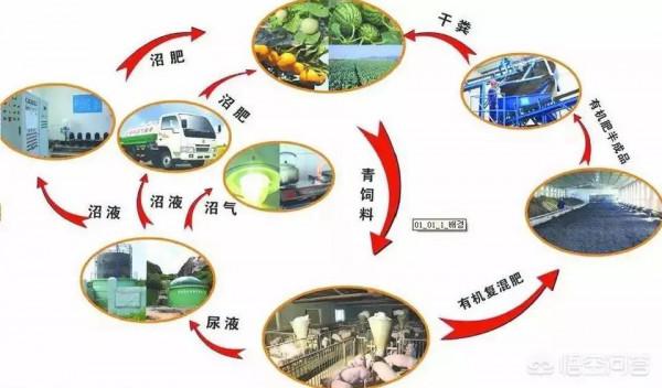 未知世界:六百年後地球的煤石油天然氣用盡人類的生活會是啥樣子 未知世界:六百年後地球的煤石油天然氣用盡人類的生活會是啥樣子