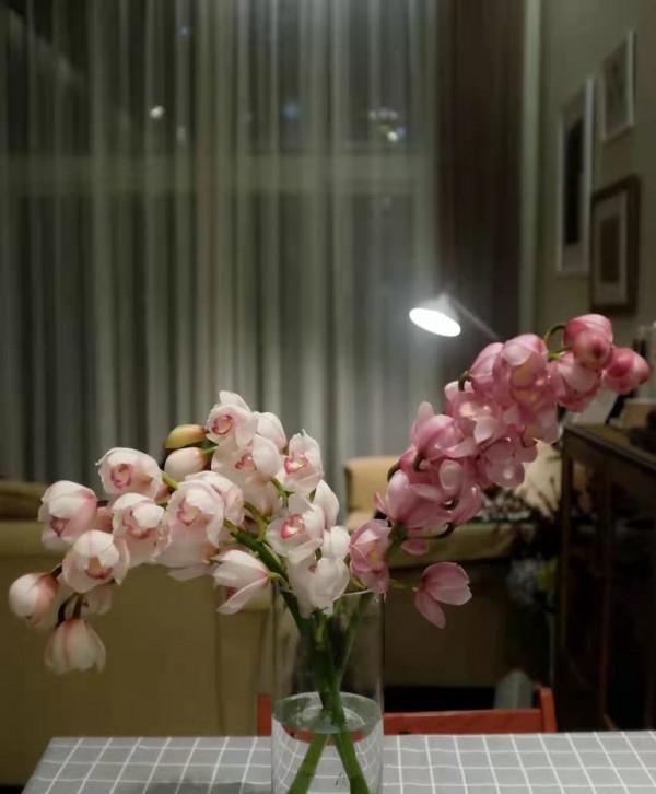 有一種不屈的堅韌。當之無愧的大家閨秀——大花蕙蘭 有一種不屈的堅韌。當之無愧的大家閨秀——大花蕙蘭