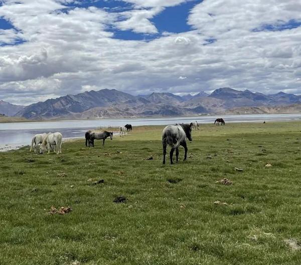 大美西藏顏值滿滿，處處經典