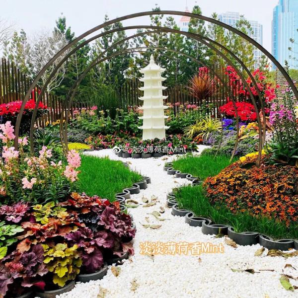 虎年說福 &vert; 春節要打烊？沒關係！咱還可以繼續浪