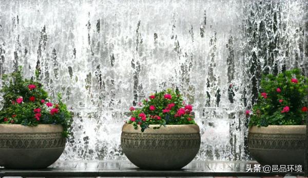 邑品科普丨收下這份攻略，你也可以打造獨一無二的容器花園