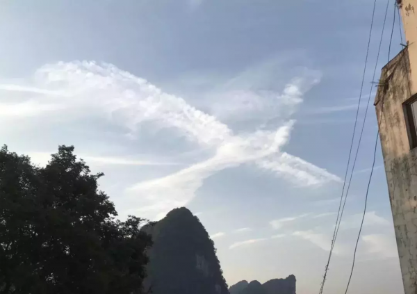 30個巧合圖片,奧特曼快來這裡有怪獸,鴨子居然和哈士奇結合了 30個巧合圖片,奧特曼快來這裡有怪獸,鴨子居然和哈士奇結合了