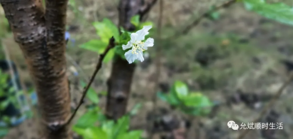 冬季的最後一天，四季之終