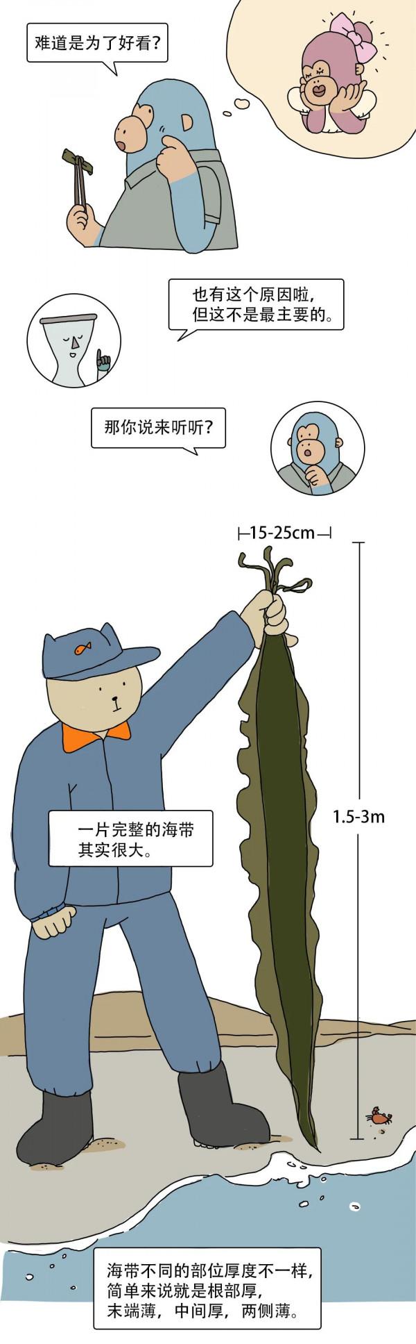 為什麼吃火鍋時，服務員端上來的海帶會打結，這組漫畫告訴你