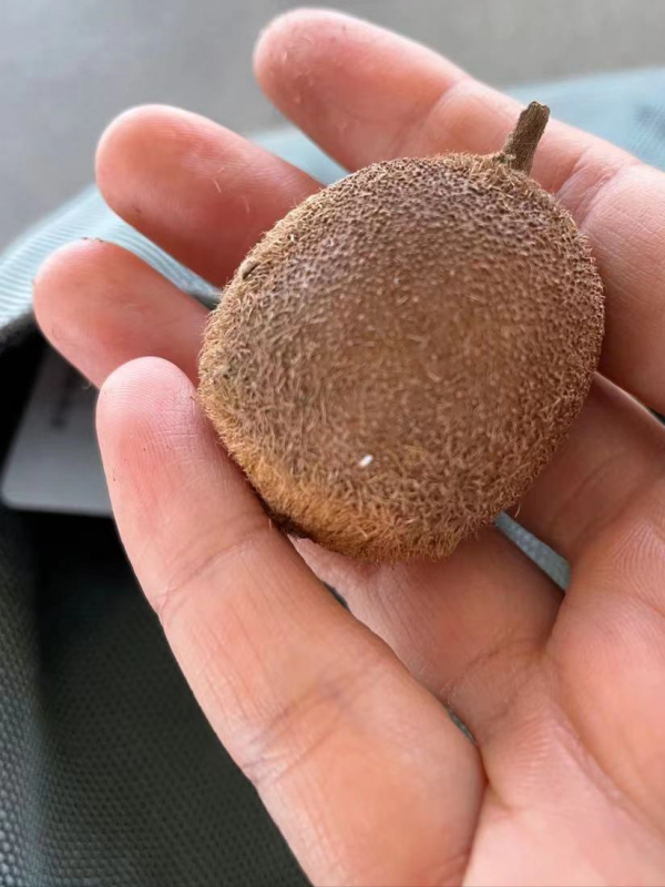 看，這就是深藏在貴州深山布依族村寨生活中的好滋味