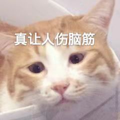 虛胖&plus;肉鬆的減肥思路分析