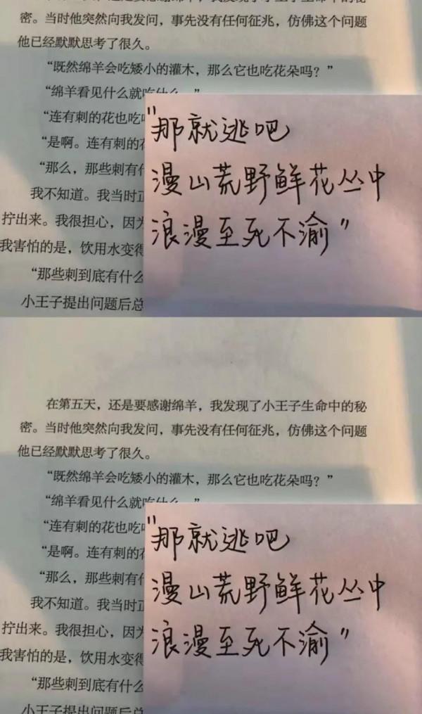 找不到文案就到這裡來找吧