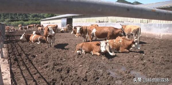 和順“三步先行”蓄能“省校合作”新高地