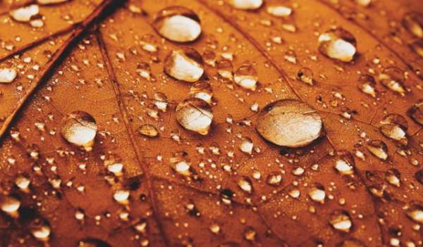 微型小說：驚嚇