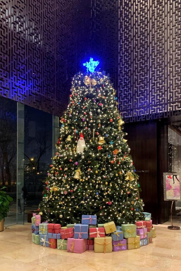 居停順遂，惺惺相“希”——記我與Hilton二〇二一