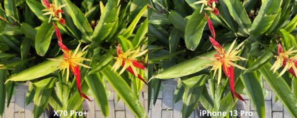 vivoX70Pro+對決iPhone13Pro：國產手機贏了，而且贏得很輕鬆