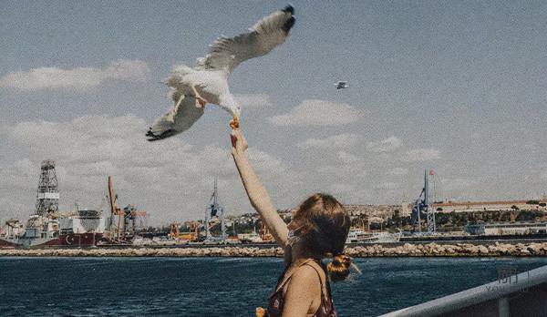 這7首詩詞年輕時不懂，讀懂時已不再年輕！