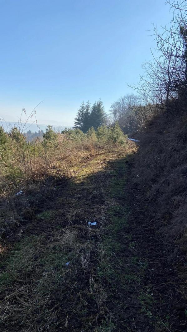 雜草荊棘中探路