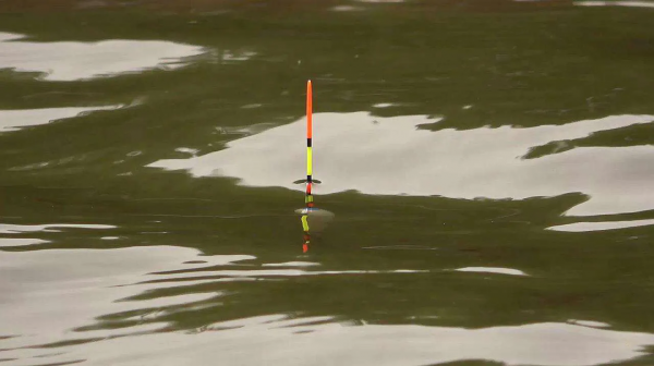 有口提竿卻沒魚？排除小雜魚鬧窩，主要原因就是這三個