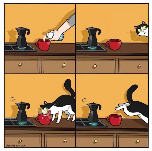 人間真實！藝術家筆下“貓主子”的日常