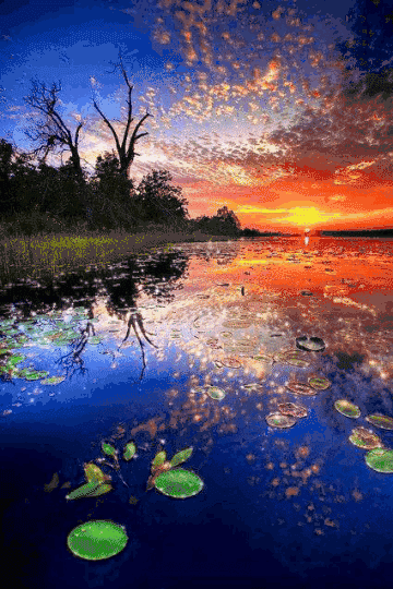 美呆的人間仙境