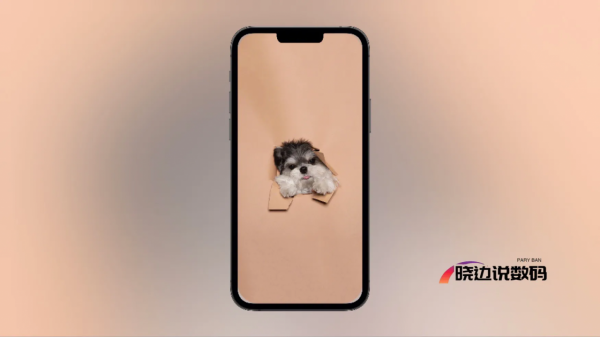 精選高畫質桌布｜可愛寵物狗狗—願您一直擁有狗狗一樣的忠誠