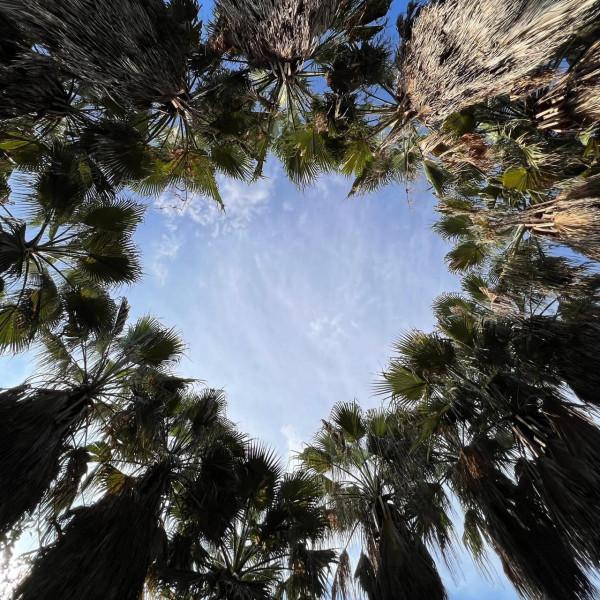 iPhone 13 Pro Max 攝像效果極好