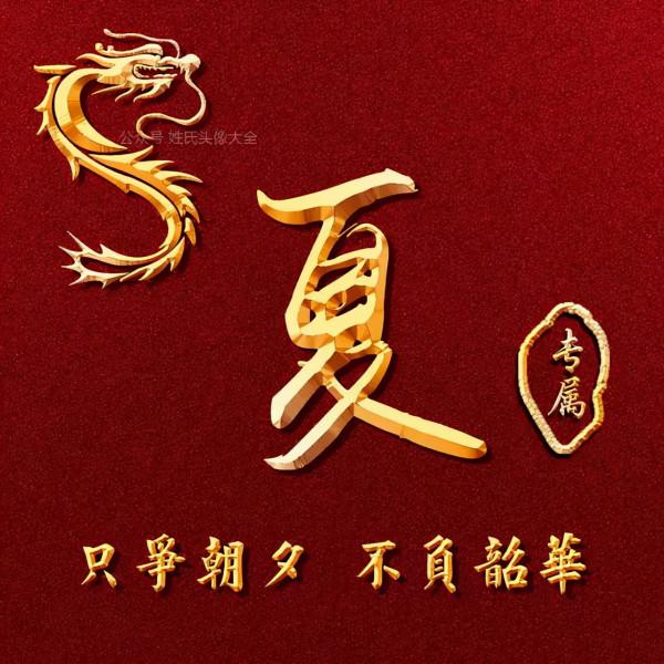 200張正能量姓氏頭像，張張精品，只爭朝夕 不負韶華