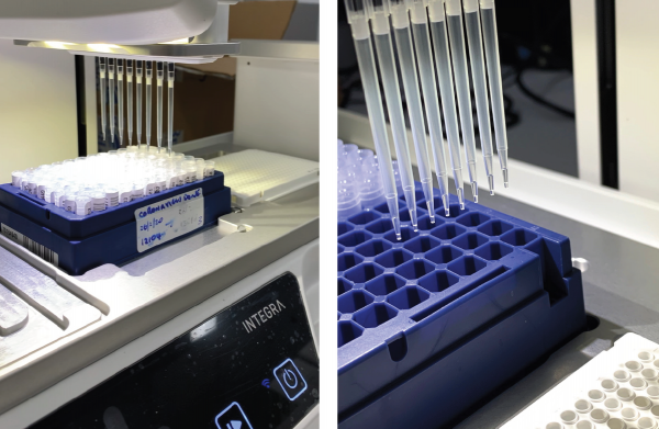 核酸檢測,抗原檢測,新冠病毒選用核酸檢測的好處是什麼 核酸檢測,抗原檢測,新冠病毒選用核酸檢測的好處是什麼