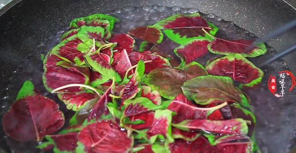 進入末伏，遇見這菜別手軟，鐵含量豐富，簡單一做，嫩滑又解暑