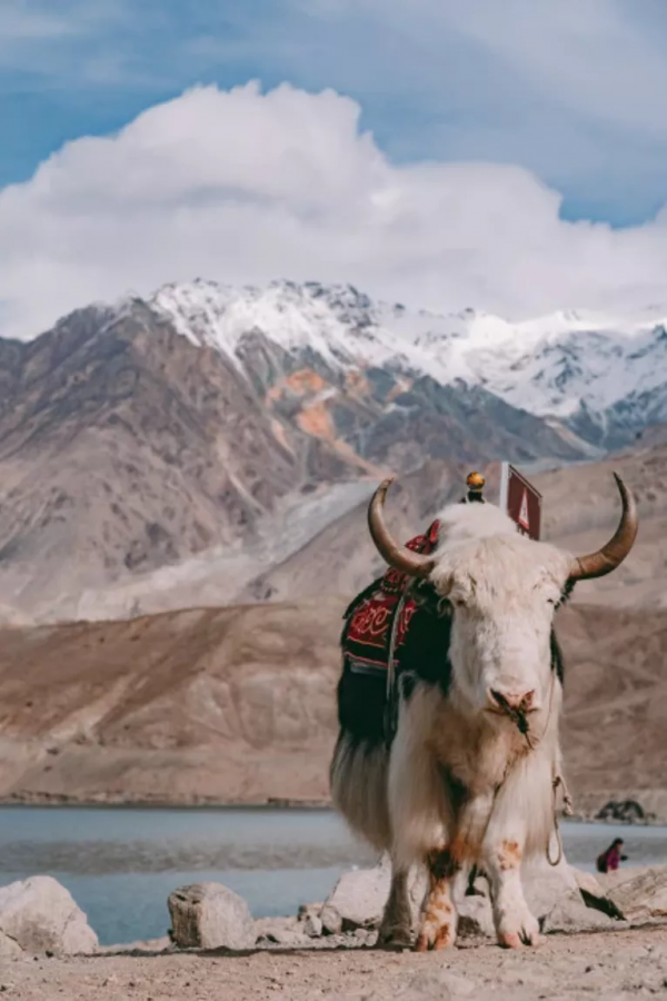 自駕南疆，穿越中巴邊境走廊