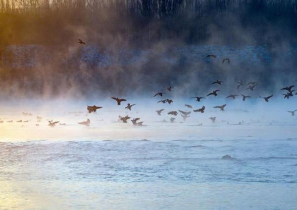 一個人生活中沒有朋友，親情淡漠，多半是以下這3個原因導致