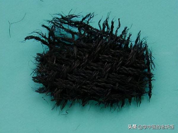 收斂止血要藥——棕櫚炭 收斂止血要藥——棕櫚炭