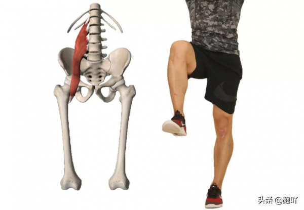 小小髖關節，居然是跑步大神和進階跑友的分界線​