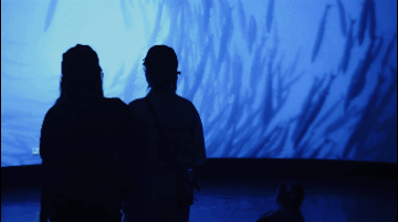 打卡！同濟這個神秘浪漫“基地”火出圈