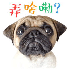 貝納利“縮水”了？