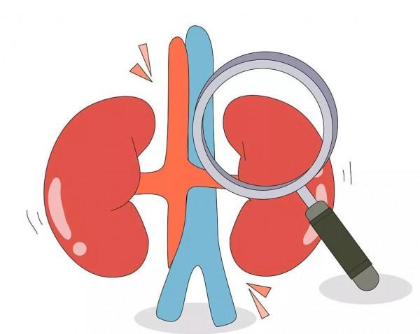 每天堅持拍拍小腿內側，你會比同齡人更長壽