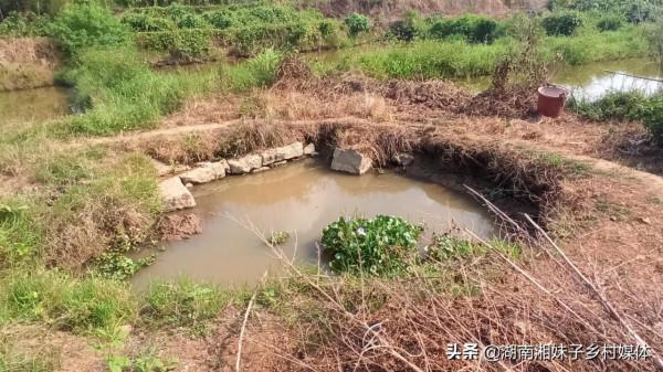 太奇怪了,湖南有一口五百多年的水井為什麼突然幹了? 太奇怪了,湖南有一口五百多年的水井為什麼突然幹了?