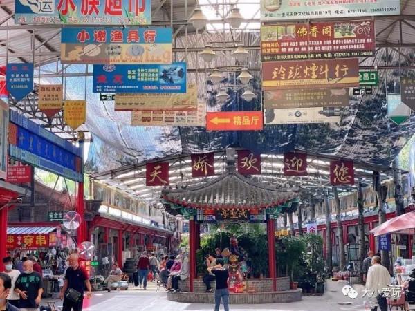 京城八大寶藏花市裡,藏著孩子最愛的植物園和水族館,冬日逛起來 京城八大寶藏花市裡,藏著孩子最愛的植物園和水族館,冬日逛起來