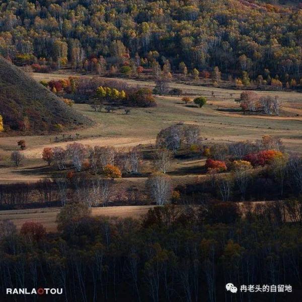 「青未了」冉令傑|南井,那一抹血紅的曙色 「青未了」冉令傑|南井,那一抹血紅的曙色