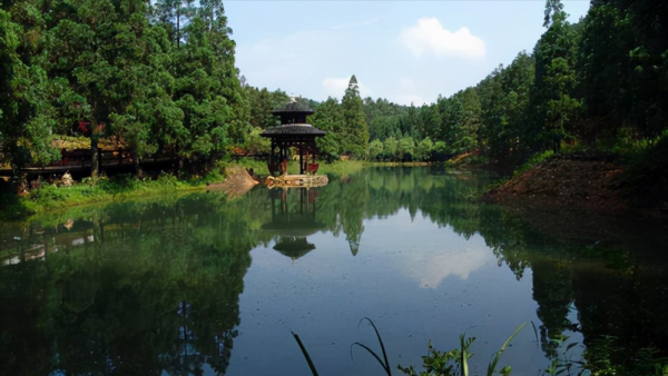 重慶村莊地上冒火60年不滅,村民用來燒水做飯,原來國外也有 重慶村莊地上冒火60年不滅,村民用來燒水做飯,原來國外也有
