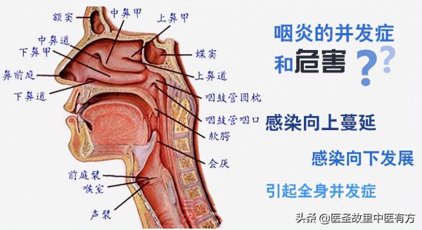 眩暈、頭痛、耳鳴？兩味中藥泡水，健脾益氣、利水祛溼，可除百病