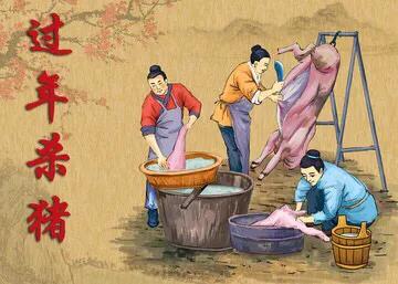 為什麼現在農村殺豬的基本都不見了…… 為什麼現在農村殺豬的基本都不見了……