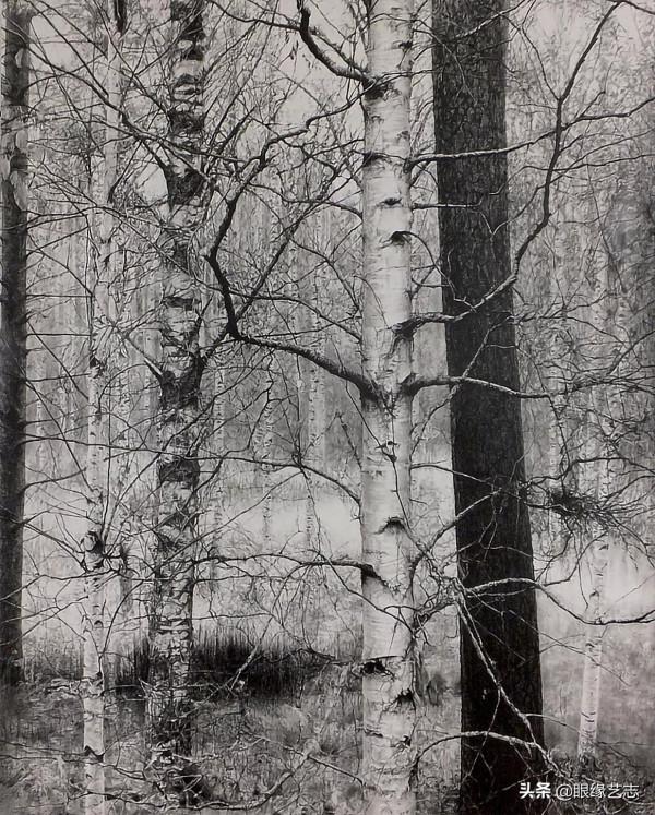 1440個小時的涅槃之畫：黎明之樹，佐藤裕一郎的心之風景