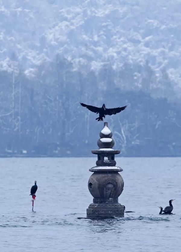 到了冬至,這些被“雪藏”的美景,你怎能不知? 到了冬至,這些被“雪藏”的美景,你怎能不知?
