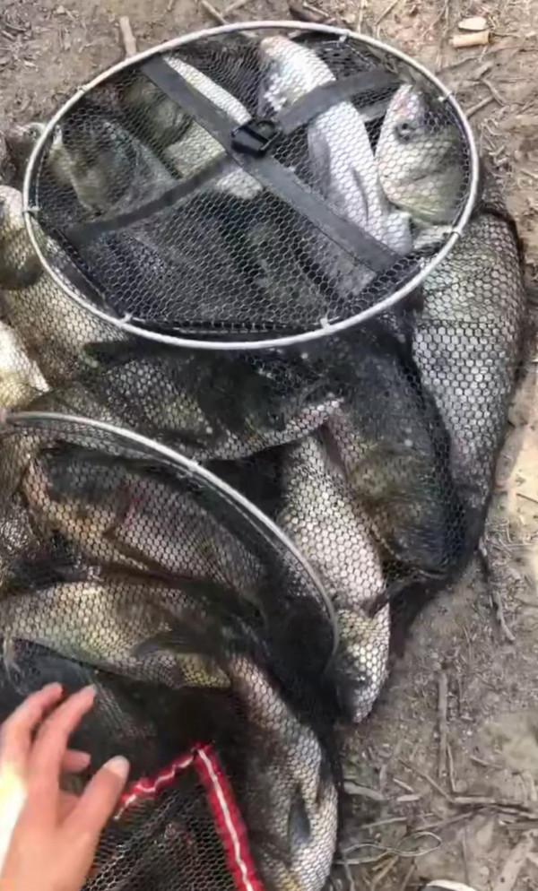 新手都可以釣到大魚,是新手光環?不是,學會調整你也可以上大魚 新手都可以釣到大魚,是新手光環?不是,學會調整你也可以上大魚