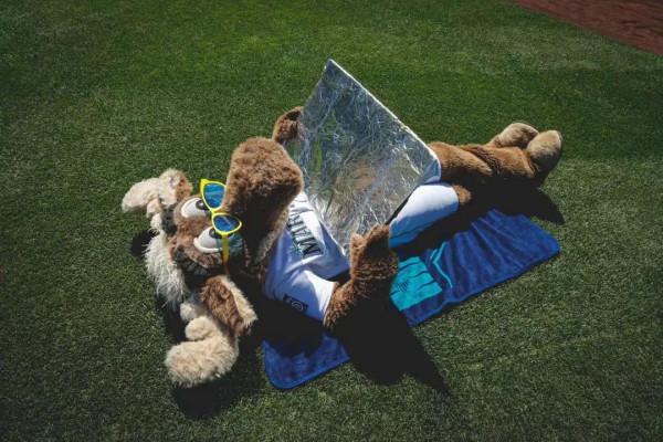 「MLB吉祥物」去西雅圖看球可得小心它的奶油炸彈