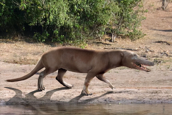 5500萬年前，地球發了一場“高燒”，逼得鯨魚祖先下了海