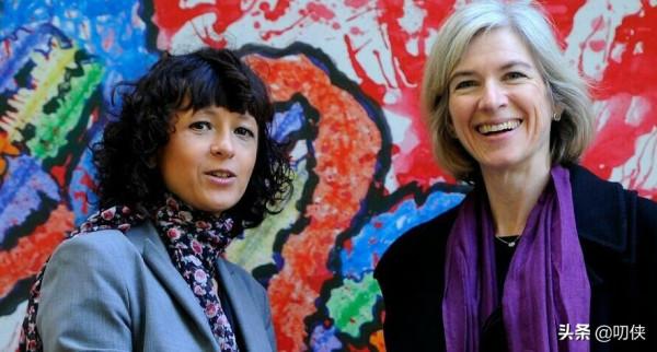 基因編輯番茄真來了，去日本旅遊的小夥伴一定要仔細看