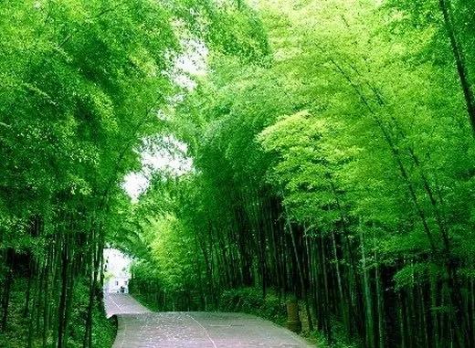 觀賞美麗的風景 觀賞美麗的風景